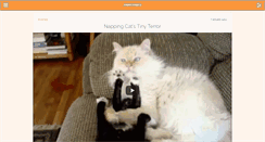 Desktop Screenshot of funnycatvideos.net